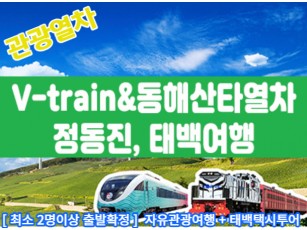 [청량리,양평역 출발]V-train / 동해산타열차 정동진, 태백택시투어 1코스 (당일) [ 자유여행 ]