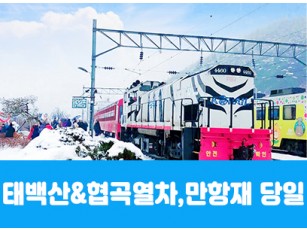 [수도권/경상권] [당일-겨울눈꽃]  태백산 눈꽃 / 백두대간 협곡열차 ( V-train ) [부산/동대구/울산/마산/창원/청량리 출발]