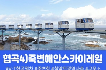 협곡4) 죽변해안스카이레일 / 동해바다 / 협곡열차(당일)  [부산/대구/진주/마산/울산/서울/천안/대전/경주출발] -