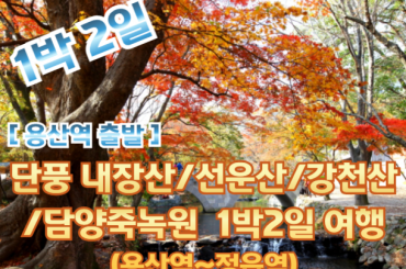 [KTX -용산역] 가을 단풍 (내장산/선운산/강천산) / 담양죽녹원 여행(1박2일) 10월18일~11월15일 [용산역 08:20 or 07:47 출발]