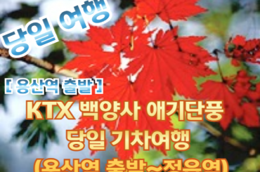 [KTX -용산역] [단풍]- 백양사 애기 단풍 여행 (당일) 10월25일~11월16일