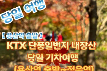[KTX -용산역] 단풍일번지 내장산 당일 기차여행  (당일) 10월25일~11월16일 [용산역 08:20 or 07:47 출발]