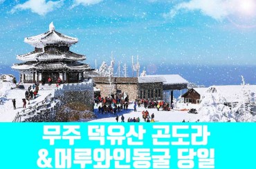 [수도권,경기권,충정권,경상권 출발]★겨울눈꽃★무주 덕유산 곤도라 눈꽃여행 / 머루와인동굴(당일) [12월~2월] [울산,진주,마산,부산,포항,동대구,대전,수원,서울역]