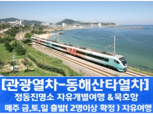 [자유개별여행] 동해산타열차 / 정동진 / 동해 논골담길 / 등대공원 / 묵호어시장 자유 여행(당일)-(금,토,일 출발) 09:37출발