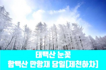 [수도권,경기도,충주권,경상권] [제천하차-겨울눈꽃]태백산 눈꽃 / 함백산 만항재 국내당일여행 [동대구,영동역,대전역,청량리역,부전역,경주역]