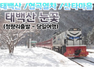 [태백/협곡열차] 백두대간협곡열차 / 환상선(승부) / 분천 산타마을 /태백산 눈꽃 여행(당일)