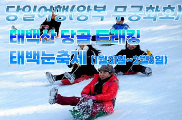 [무궁화-당일] 2026 태백 눈축제 / 당골 트래킹 당일 -왕복 무궁화 [중식포함] (1/31~2/8, 9일간)