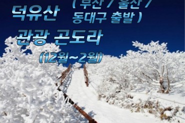 [★부산/울산/동대구 출발 KTX ★] 은빛설산 덕유산 눈꽃 곤도라/ 하늘물빛정원 기차여행 (당일)-[12월~2월] 중식포함