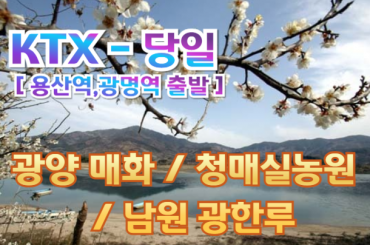 [ KTX ] 광양 매화 / 남원 광한루  당일 기차여행 (당일) [ 3월7일~15일]  [용산역,광명역,오송역 출발]