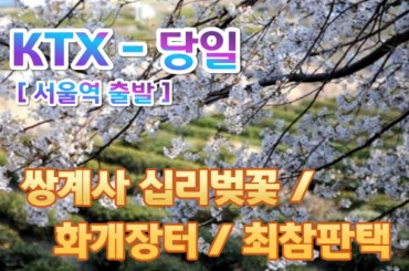 [ KTX ]- 환상의 쌍계사 십리벚꽃  화개장터 / 최참판댁 봄꽃여행(당일) 3월21일~4월12일 [서울역 출발]