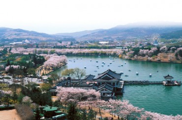 [KTX/봄꽃] 경주 보문단지 왕벚꽃 당일 기차여행 (황리단길 동궁과월지 대릉원 첨성대) 3/21~4/12 [서울역,광명역]