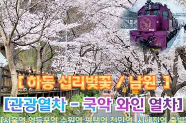 [국악와인열차-당일] 하동 십리벚꽃길 / 남원 광한루원  (당일) 3월,29일 [서울역, 영등포역, 수원역, 평택역, 천안역, 서대전역]