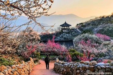 ♥봄꽃여행♥ [KTX-당일] 봄을 알리는 섬진강 광양 매화+전주한옥마을 3월13일~22일 [용산역출발/익산도착]