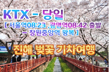 [ KTX ] 진해 벚꽃 기차여행 (당일) - 서울역 08:23 출발 [3월27일~4월5일] [서울역,광명역,오송역,대전,수원.평택,천안 출발/창원중앙역도착 왕복]