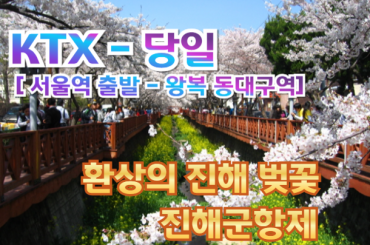 [KTX] 환상의 진해벚꽃 & 군항제 여행 (당일) [3월21일~4월5일][서울역출발/동대구역도착]