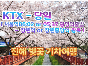 [ KTX ] 진해 벚꽃 기차여행 / 경화역 포함 (당일)-서울역 06:03 or 05:38 출발 [서울역,광명역,대전역출발/창원중앙역or창원역도착]