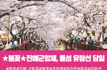 [수도권 충청권 경상권출발] ★봄꽃★진해군항제 / 돝섬 유람선(당일)  [서울역,대전역,울산,대구,부산출발]