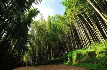 [KTX] 전라 남도별미 2박3일 여행 ( 담양/곡성/남해/여수 )-[호텔] 12월 ~2월 까지(동절기)