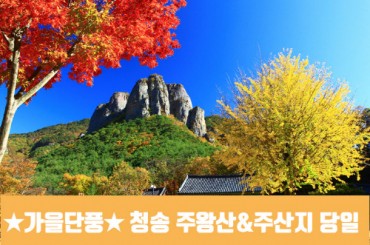 [수도권/경기권/전라권/충청권/경상권] ★가을단풍★ 청송 주왕산 / 주산지(당일) [서울역,천안아산역,대전역,부산역,울산역,마산역,동대구역 출발] 10월18일(토)~11월23일(일)