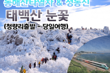 [관광열차/동해산타열차] 동해산타열차 / 정동진 / 태백산 눈꽃 / 하늘 전망대 여행(당일)