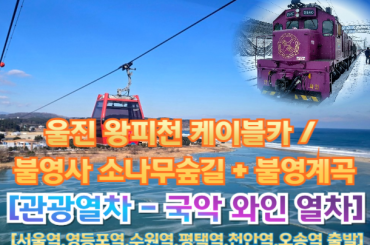 [국악와인열차-당일] 울진 왕피천 케이블카 / 불영사 소나무숲길 (당일) [8월31일(일)] [9월 7일(일)] [서울역, 영등포역, 수원역, 평택역, 천안역,오송역]