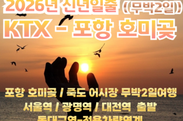 [2026년 신년해돋이] [KTX 서울역,광명역,대전역] 포항 호미곶 2026신년해돋이 / 죽도어시장 여행 (무박2일)- 12월31일 단1회