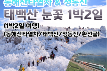 [관광열차/동해산타열차 1박2일] 동해산타열차 / 태백산눈꽃 / 정동진 / 환선굴 / 묵호항 여행(1박2일)