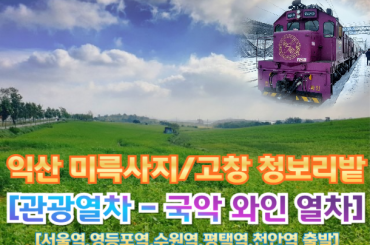 [국악와인열차-당일] 익산 미륵사지 / 고창 청보리밭 축제 (당일) 4월 19일(일),  [서울역,영등포역,수원역,평택역,천안역]