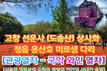 [국악와인열차-당일] 고창 선운사 상사화 / 정읍 미르샘 다리 (당일) [ 9월28일] [서울역, 영등포역, 수원역, 평택역, 천안역,서대전]