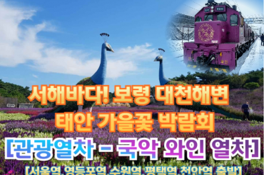[국악와인열차-당일] 서해바다! 보령 대천해변 / 태안 가을꽃 박람회 (당일) 9월 30일 (화) [서울역,영등포역,수원역,평택역,천안역]