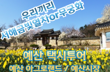 [서해금빛열차 or 무궁화 / 예산관광택시] 아름다운 예산 아그로랜드/ 예산시장 (당일)
