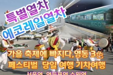 [특별열차-에코레일 열차] 가을 축제에 빠지다, 영동 3色 페스티벌 (당일)  [9월 18일 (목) ] [서울역,영등포역,수원역]