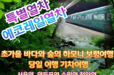 [특별열차-에코레일 열차] 초가을 바다와 숲의 하모니 보령여행 (당일)  [9월 6일 (토) ] [서울역,영등포역,수원역,천안역]