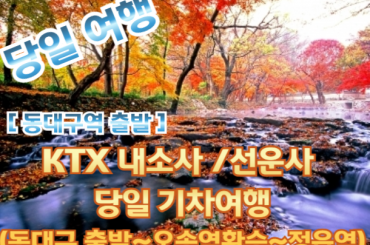 [KTX -동대구역] [단풍]-  내소사 / 선운사 기차여행여행 (당일) 10월25일~11월16일 [동대구역,김천구미역]