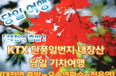 [KTX -대전역] [단풍]- 백양사 애기 단풍 여행 (당일) 10월25일~11월16일