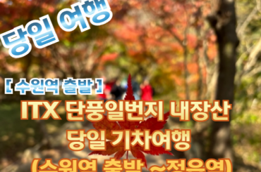 [새마을- 수원역,출발] 단풍일번지 내장산 당일 기차여행  (당일) 10월25일~11월16일 [수원역,천안역,서대전역]