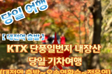 [KTX -대전역] [단풍] 단풍일번지 내장산 당일 기차여행  (당일) 10월25일~11월16일
