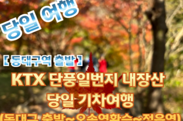 [KTX -동대구역] [단풍] 단풍일번지 내장산 당일 기차여행  (당일) 10월25일~11월16일  [동대구역,김천구미역]