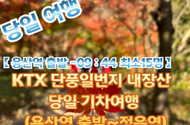 [KTX -용산역] 단풍일번지 내장산 당일 기차여행  (당일) 10월25일~11월16일 [용산역 09:44 출발 /최소 15명]