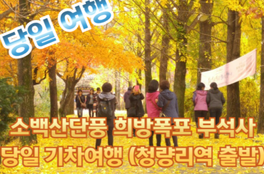 [가을단풍] 소백산단풍 희방폭포 부석사 당일여행 [청량리역,양평역] 10월24일~11월9일