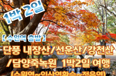 [ 수원역출발-환승] 가을 단풍 (내장산/선운산/강천산) / 담양죽녹원 여행(1박2일) 10월18일~11월15일 [수원역,평택역,천안역]