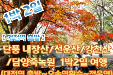 [ 대전역출발-환승] 가을 단풍 (내장산/선운산/강천산) / 담양죽녹원 여행(1박2일) 10월18일~11월15일
