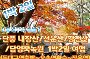 [동대구역 출발-환승] 가을 단풍 (내장산/선운산/강천산) / 담양죽녹원 여행(1박2일) 10월18일~11월15일 [동대구역,김천구미역]