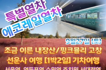 [특별열차-에코레일 1박2일]  조금 이른 내장산/핑크뮬리 고창 선운사 1박2일 기차여행 [9/27~28] 1박2일 기차여행 -서울역,영등포역,수원역,조치원,서대전역