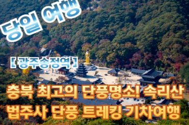 [광주송정역-당일] 충북 최고의 단풍명소! 속리산 법주사 단풍 트레킹 당일기차여행 [10월25일/11월1일/11월8일]