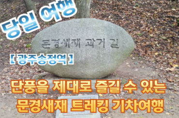 [광주송정역-당일] 단풍을 제대로 즐길 수 있는 문경새재 트레킹 당일 기차여행 [10월25일/11월1일/11월8일]