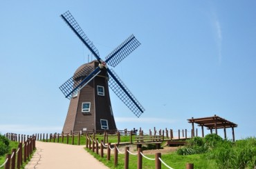 [KTX-1박2일] 거제 요트 / 거제의 섬! [12월~3월 지심도 OR 4월~11월 외도] 1박2일여행 - 5성급호텔 (6명부터/ 4식제공) [서울역,대전역]