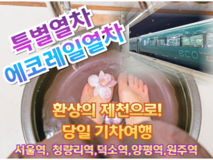 [특별열차-에코레일 열차] 따뜻한 연말을 즐기고 싶다면, 환상의 제천으로! 기차여행 (당일)  [12월 21일(일),27일(토) ] [서울역,청량리역,덕소역,양평역,원주역]