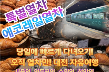 [특별열차-에코레일 열차] 대전 ~당일에 빠르게 다녀오기! 오직 열차만! 대전 자유여행 (당일)  [12월6일,13일,14일] [서울역,영등포역,수원역,천안역]