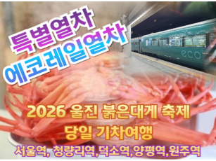 [특별열차-에코레일 열차] 2026 울진 붉은대게 축제! 핵심만 쏙쏙 기차여행  [당일 여행] [ 2월 28일(토)] [서울역,청량리역,덕소영,양평역,원주역]